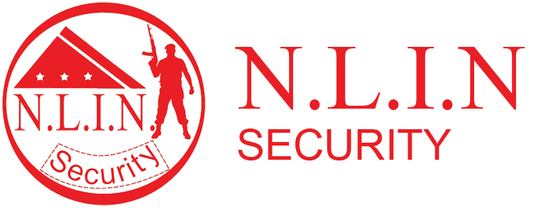 Logo NLIN